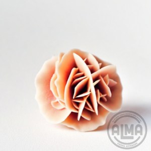 rosa del desierto en bruto con logo